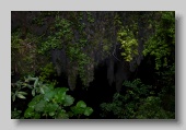 Camuy_Cave_2011_02