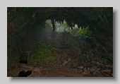 Camuy_Cave_2011_04