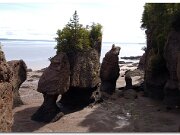 Hopewell Rocks_2005_136