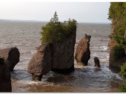 Hopewell Rocks_2005_157