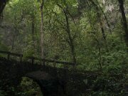 Del_Rio_Camuy_Cave_01