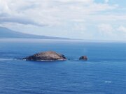 Maui Sea Turtle Rock-2