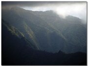 Mokuleia Forest Reserve_2013
