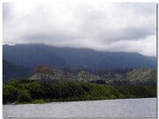 Waiahole Forest Reserve_2013