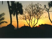 Florida Sunset_1998