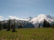 Mt_Ranier_2009_04